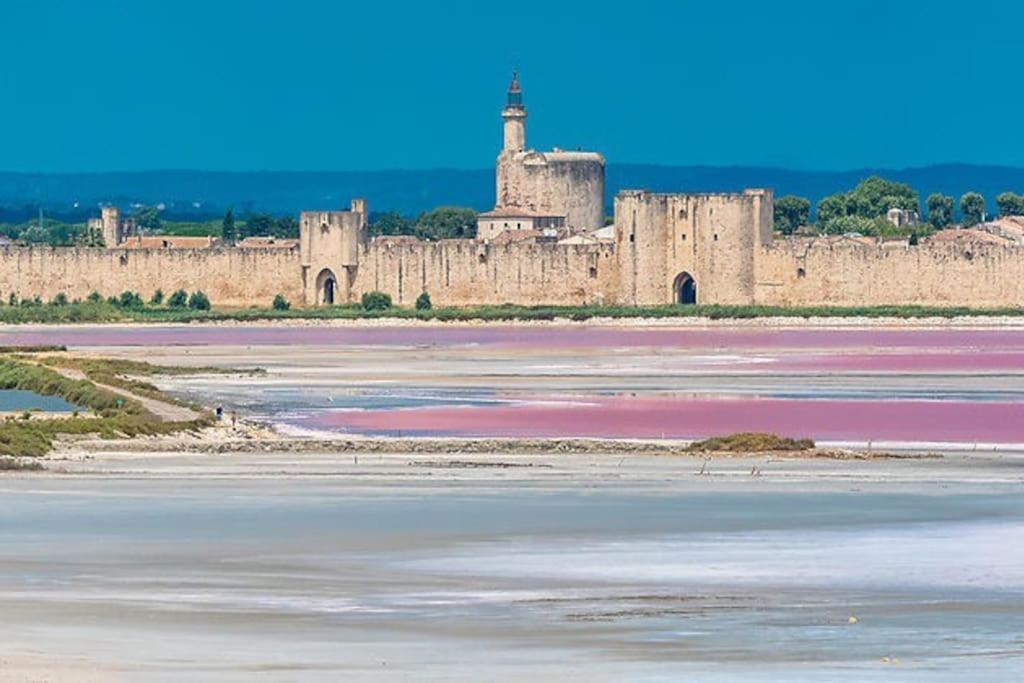 Maison A 800M Des Remparts Aigues-Mortes Buitenkant foto